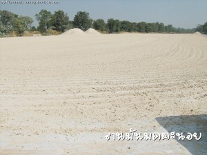 ลานมันมดตะนอย