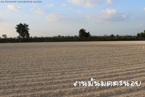 ลานมันมดตะนอย