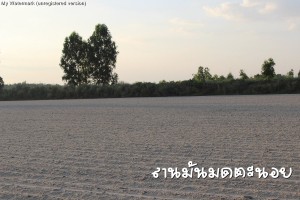 ลานมันมดตะนอย
