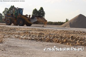 กากสด ลานมันมดตะนอย