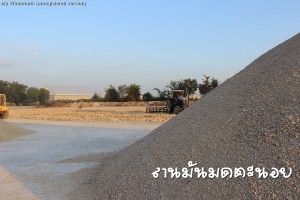 กากสด ลานมันมดตะนอย