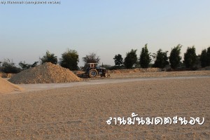กากสด ลานมันมดตะนอย