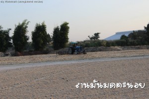 กากสด ลานมันมดตะนอย
