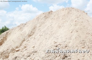 กากหมาด ลานมันมดตะนอย